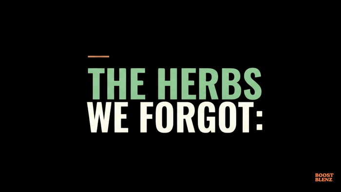 The Herbs We Forgot: