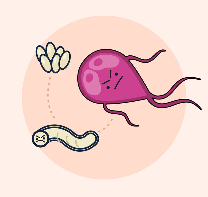 Target Parasites