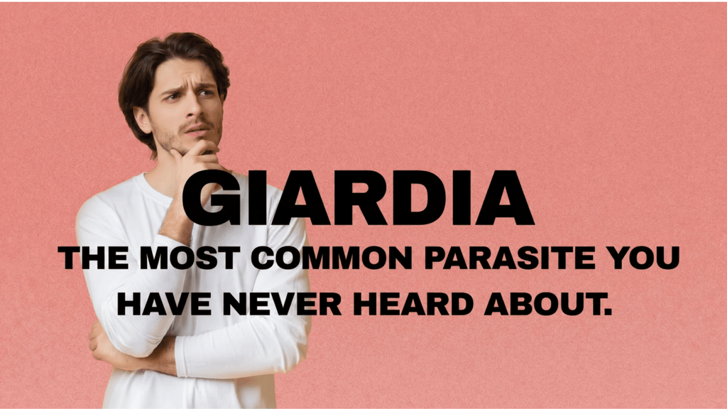 What Is Giardia and How Do You Break Up Biofilms?