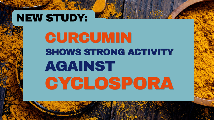 New Study: Curcumin Shows Strong Activity Against Cyclospora
