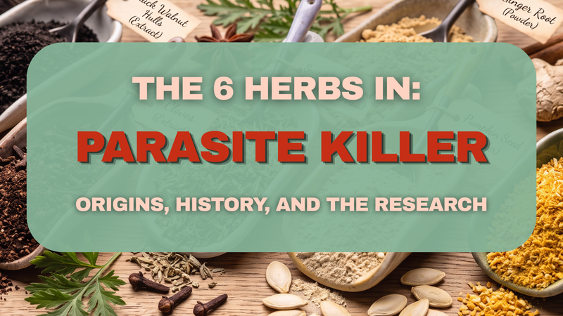 The 6 Herbs in Boost Blenz: Origins, History, and the Research