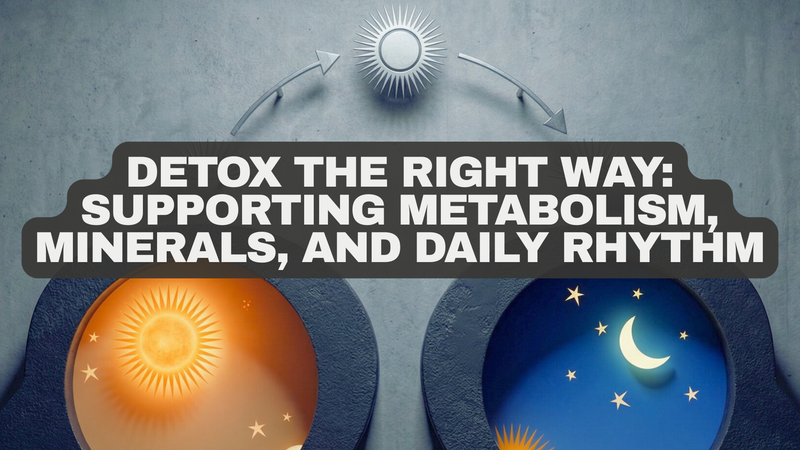 Detox the Right Way: Supporting Metabolism, Minerals, and Daily Rhythm