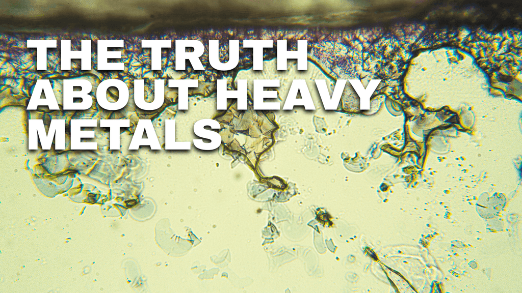 The Truth About Heavy Metals in Food & Water