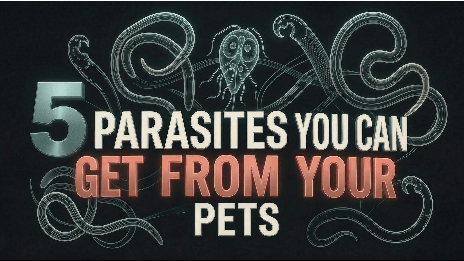 5 Parasites You Can Get From Your Pets