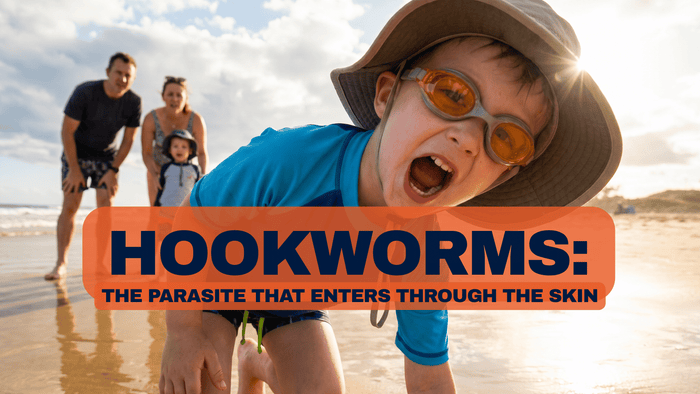 Hookworms: The Parasite That Enters Through the Skin