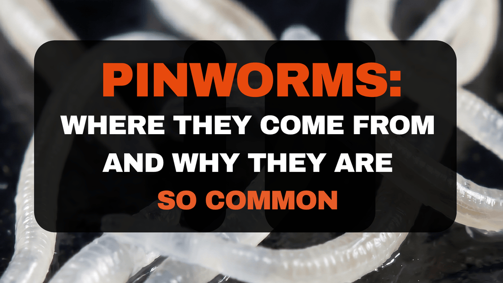 Pinworms: Where They Come From and Why They Are So Common