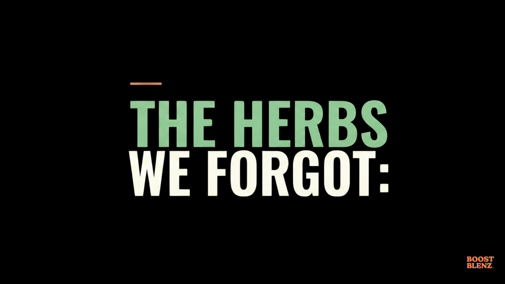 The Herbs We Forgot: