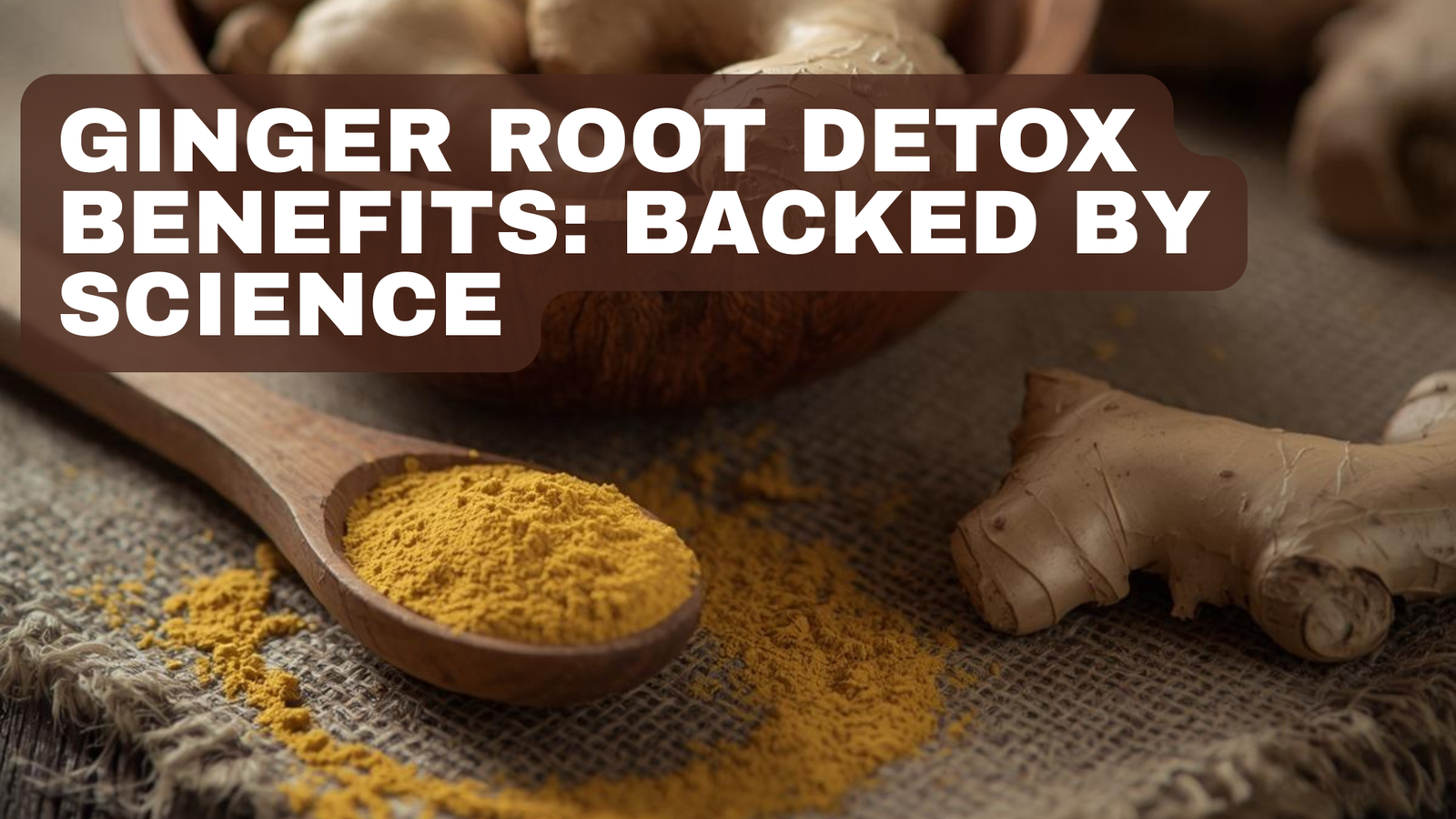 Ginger Root Benefits: Science-Backed Detox, Digestion & Anti-Inflammatory Support