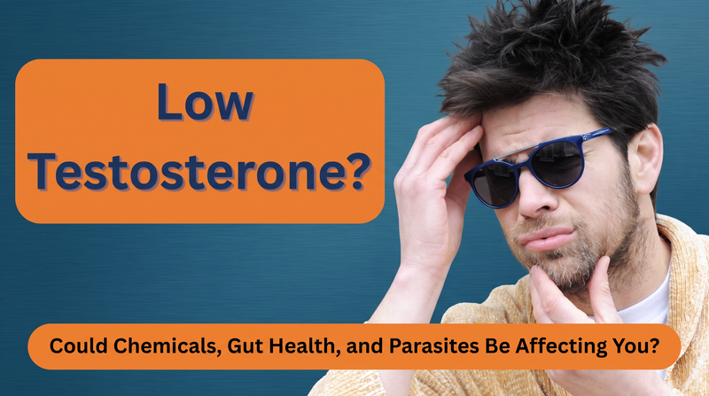 Low Testosterone? Could Chemicals, Gut Health, and Parasites Be Affecting You?