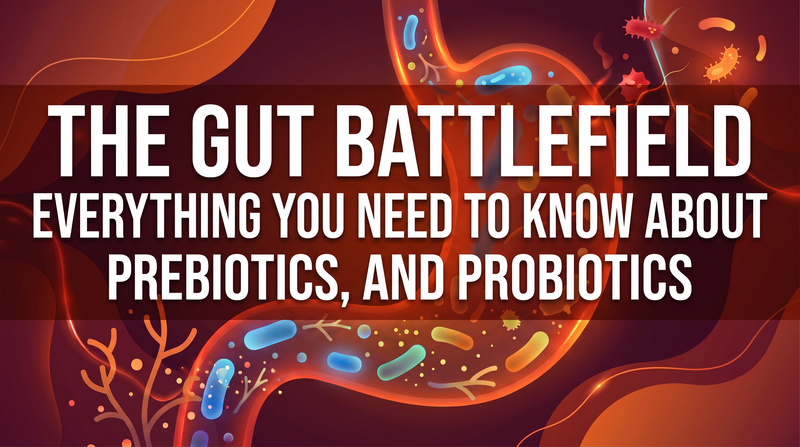 The Gut Battlefield: Everything You Need to Know About Prebiotics, and Probiotics.