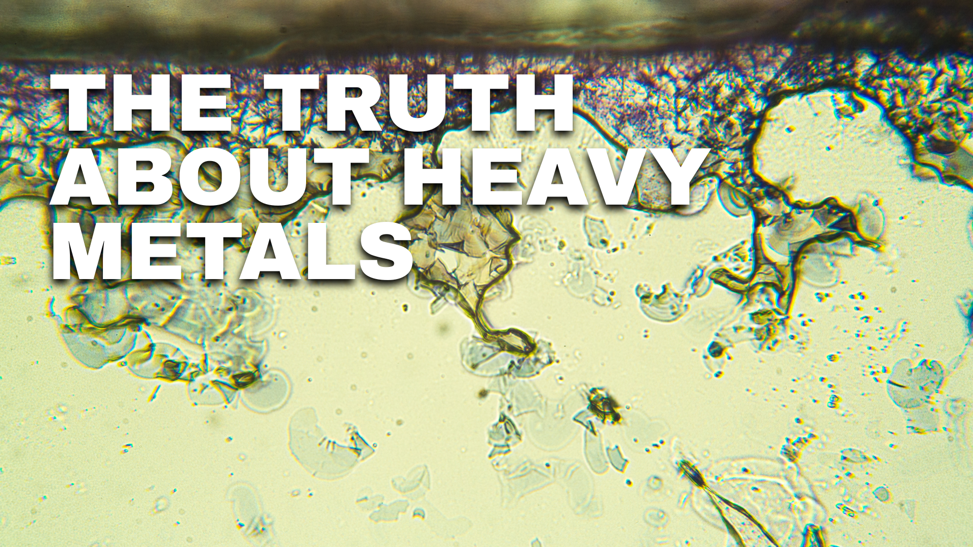 Whole foods to eat during a detox