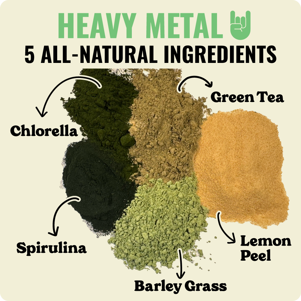 4-Stage Detox Kit + Binder