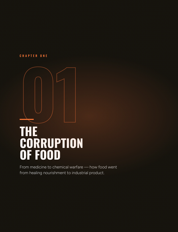 Chapter 1 — The Corruption of Food
