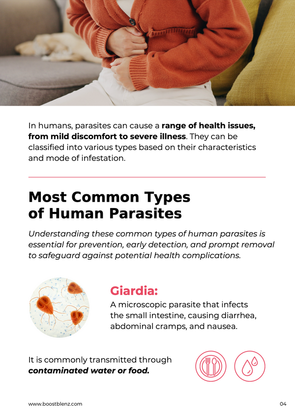 Most Common Human Parasites