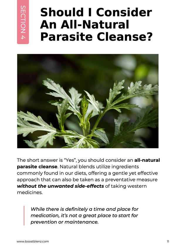 Should I Consider A Natural Parasite Cleanse?