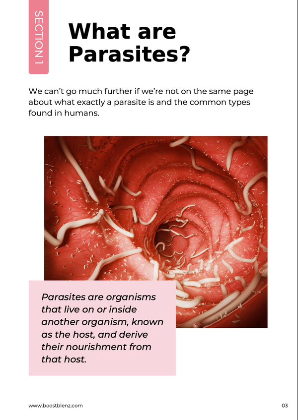 What Are Parasites?