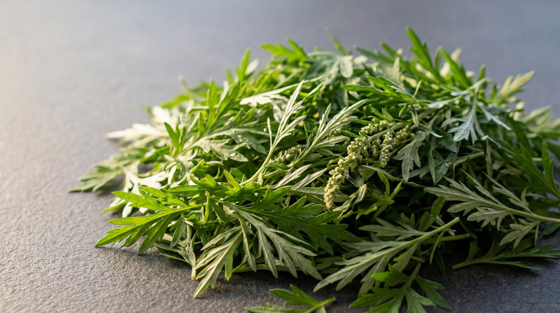 Wormwood