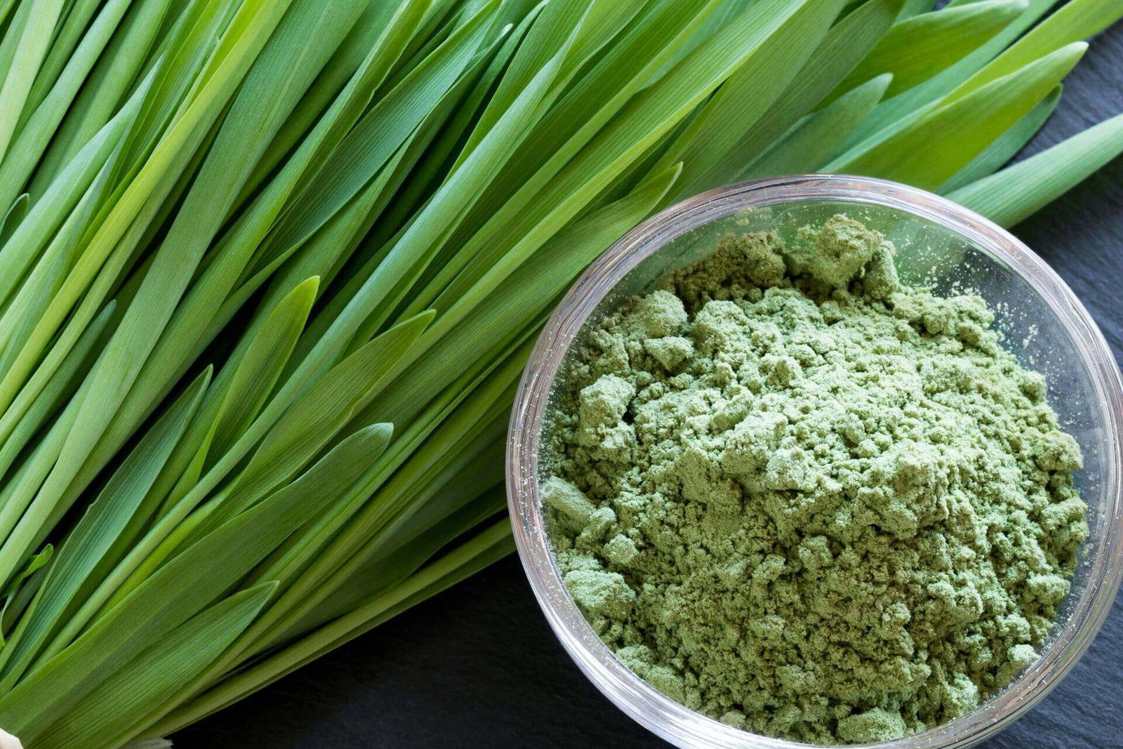 Barley Grass