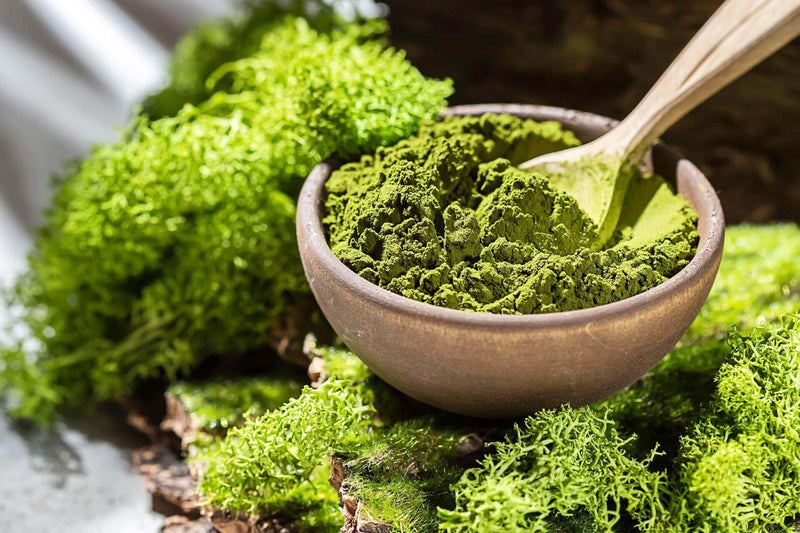 Chlorella