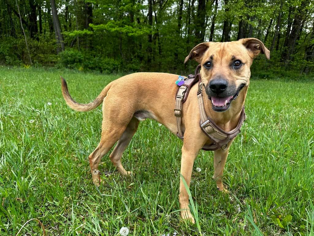 Girl eating a salad during her detox
