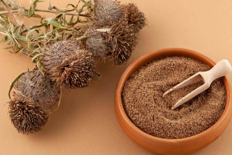Milk Thistle